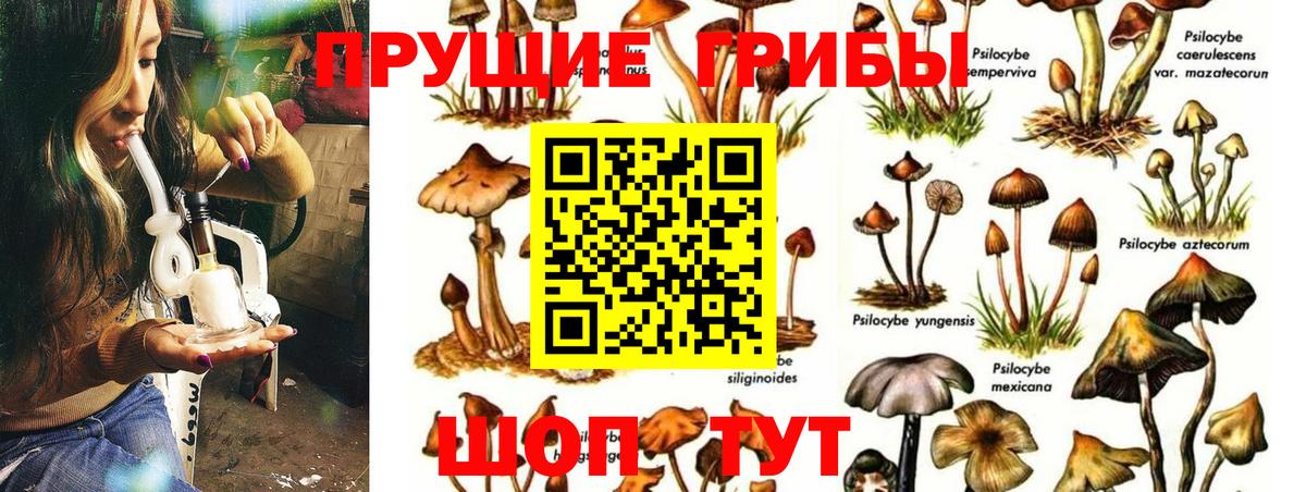 Галлюциногенные грибы Cubensis Углич