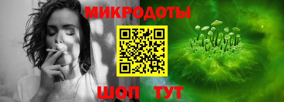 Галлюциногенные грибы Psilocybine cubensis  Вход с VPN  Углич 